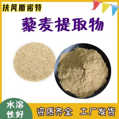 藜麦提取物 斯诺特品牌 藜麦蛋白含量80% 类白色精细粉末