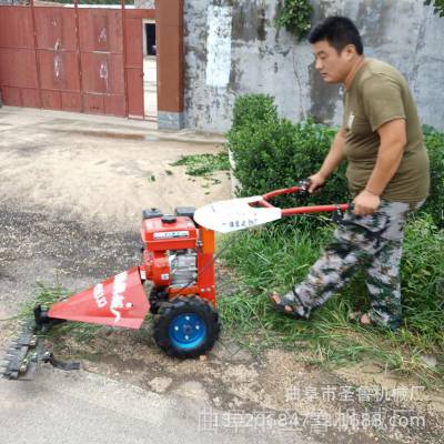 岳阳果园剪草机 手推式果园剪草机 圣鲁牌手扶圆盘割草机视频