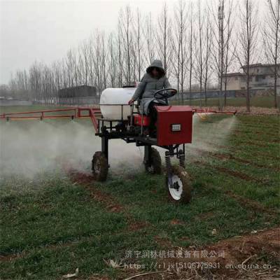 润林自走式三轮打药机 蔬菜基地灭虫喷雾器经济适用