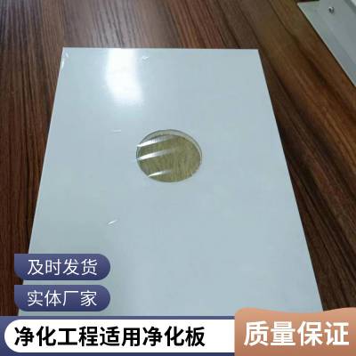 手工玻镁岩棉净化板适用于无尘车间