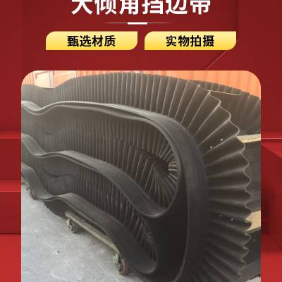 大倾角波状挡边带 环形裙边 可拆卸隔板 TCS型 耐温250度