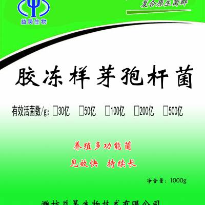 供应胶冻样类芽孢杆菌胶质芽孢杆菌100亿生物肥料抗重茬改良土壤板结