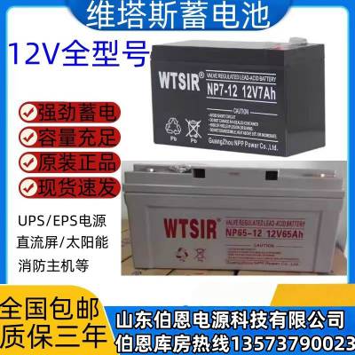 WTSIRS˹So늳NP9-12 12V9AH ϵy(tng)Դ