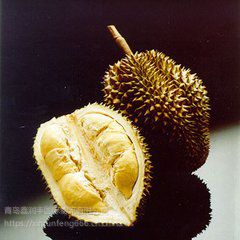 ̩ұع˾