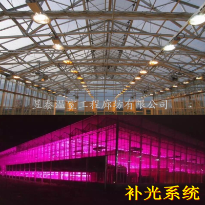 昱泰植物补光灯高压钠灯生长灯昱泰温室大棚YTWSBG2035