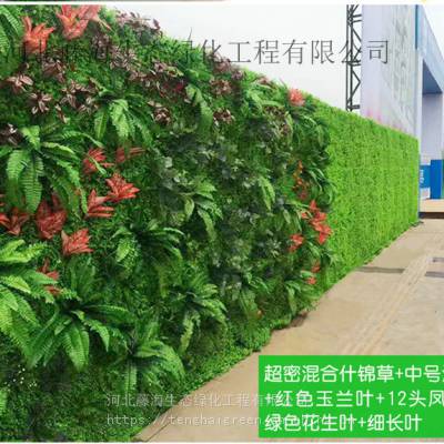 立体绿化造景垂直绿化造景植物上墙