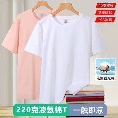 2026�¿�Բ��T����POLO����ҵ����߶˶��ơ�