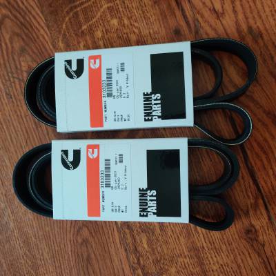 发动机风扇皮带