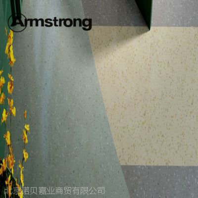 Armstrongͬ͸ĵذ塾