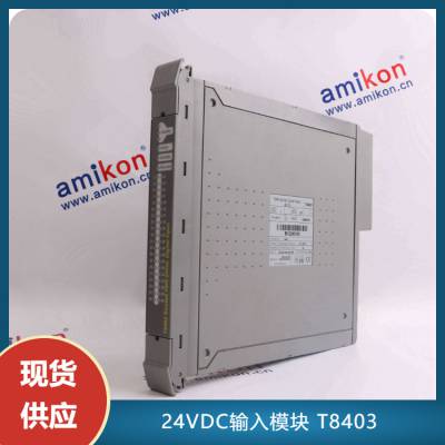 24VDC输入模块 T8403/化工控制系统配件