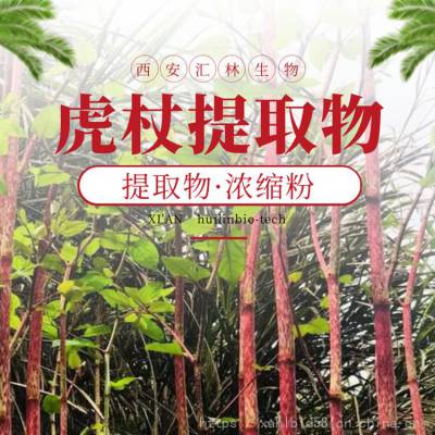 虎杖提取物 苦杖浓缩粉末 植物萃取 喷雾干燥 水溶原料 1千克起订