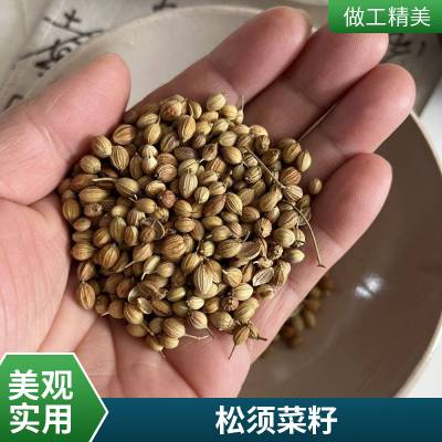 正宗中药材香菜籽 无硫原材料芫荽籽出售 辛香料大全