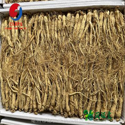 中药材人参功效广西野生棒槌一斤