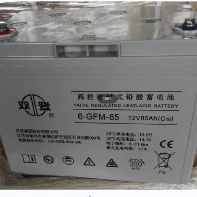 ˫Ǧطܷ6-GFM-85(C20)
