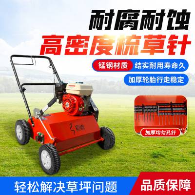 手推式汽油草皮梳草机 小区园林绿化草坪透气打孔机