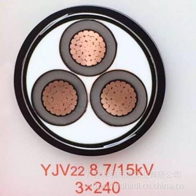 ZC-YJV22-8.7/10KV-3300µ