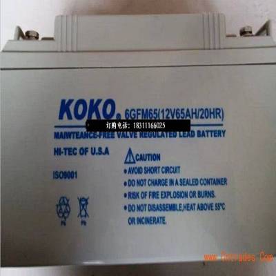 KOKO蓄电池6GFM65 12V6***H应急电瓶UPS EPS 直流屏营销中心