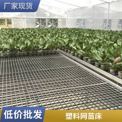 航迪盆栽种植手摇式塑料网苗床 水培育苗可定制生产