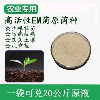 农用种植EM菌 高活性em原菌粉 有机种植 活化土壤