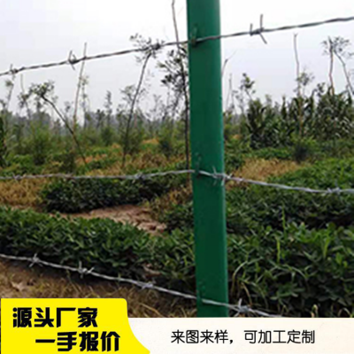 辽宁沈阳核电站场区围栏网 刺网围栏网厂家