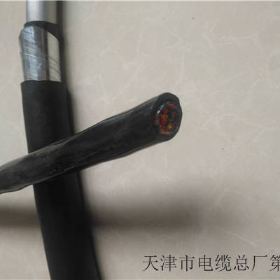 室外屏蔽通信电缆AZVP5X2X0.9