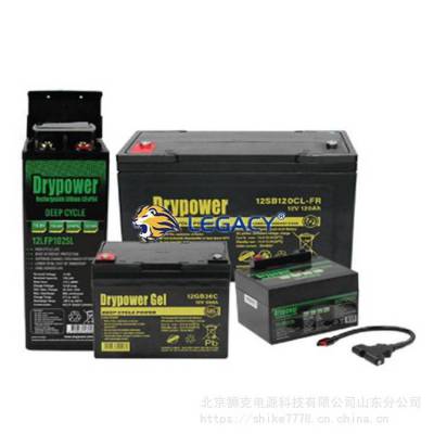 DRYPOWER12SB110CLS-FRѭȷŵ