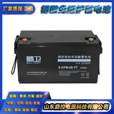 ƻ6-GFM-200-YT12V200AHܷʽάUPSԴǦػհװ