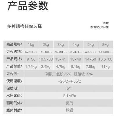 绿消手提式干粉灭火器5kg家用商用办公室国家消防3C认证灭火器_2个 灭火器租赁出租