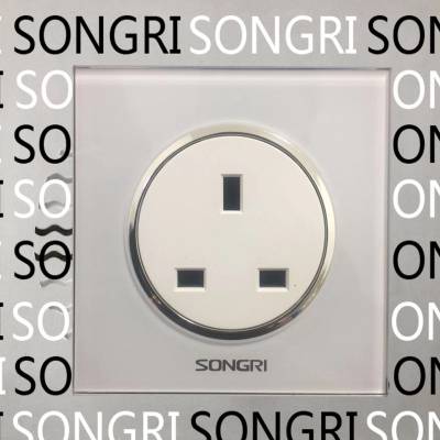 ϺSONGRI ײ ֻ 250V16A10A