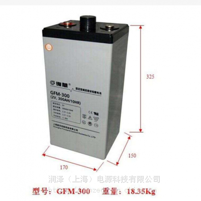 GFM-300ά2V300AHܴ