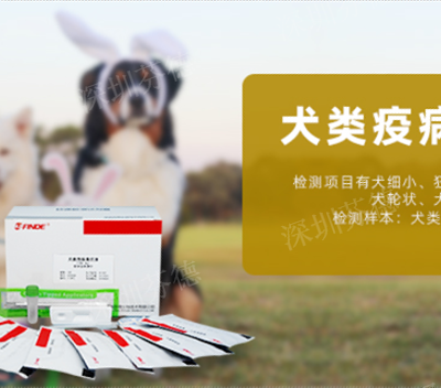 辽宁犬冠状抗原检测卡量大从优 深圳芬德生物供应 深圳芬德生物供应