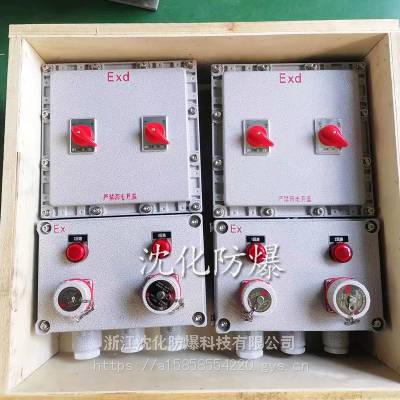 防爆配电箱 带电度表检修电源插座箱 IP65电伴热仪表温控箱