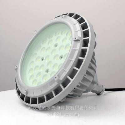 防腐防爆型LED灯SLF-120W LED防爆泛光灯LB8393-100 免维护防水防尘