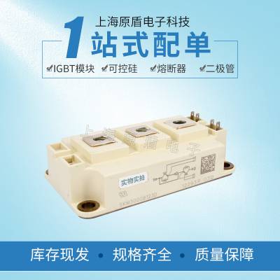 ſբSKM300GAL12T4/123D/128DIGBTģ