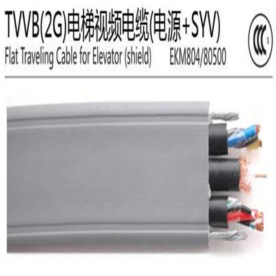 ECHU/׳ TVVBG 4*CAT6 ݱߴ 6