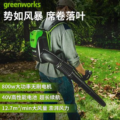 greenworks40VʽѩʽҶ***һϴˮBLF446