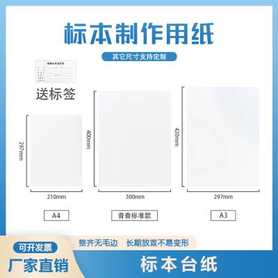 腊叶标本台纸 植物标本制作专用纸 多规格可选 厂家直销 可开票