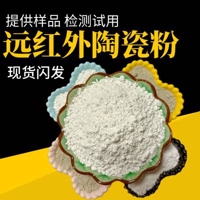 2000目白色远红外粉 陶瓷涂料油漆纺织用纳米级陶瓷粉