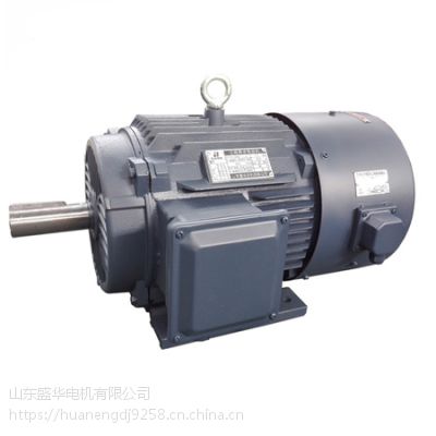 山东盛华高效节能电机YE2 225M 45KW 2极 卧式/立式 工厂直销