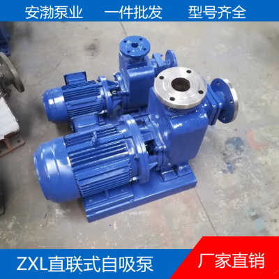 直联式自吸排污水泵无堵塞提升泵管道大流量循环离心泵150ZXL160-80