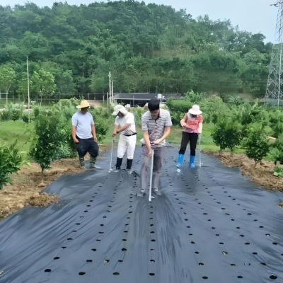 切片/打孔防草地布-农用苗圃打孔除草布果树切片盖草布透气保湿