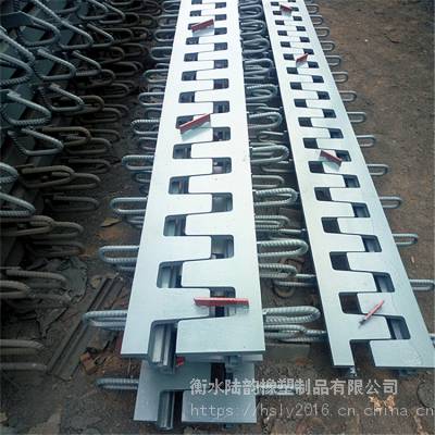 模数式桥梁伸缩缝_陆韵TST无缝伸缩缝施工用料