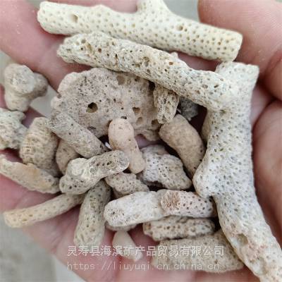 海滨 天然鱼缸滤料珊瑚砂 过滤用珊瑚砂 水产养殖珊瑚石