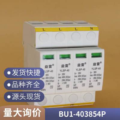 BU1-15/4防雷ARD-20/4P浪涌保护器厂家 EC-20/4P对标产品YLSP-20/4P