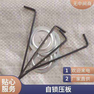 电厂用保温钩钉 锅炉炉体不锈钢钉 锁片 L型低碳钢保温钉