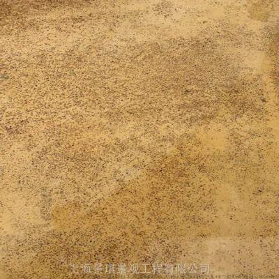 上海会展馆室内艺术洗砂地坪材料供应及工程施工