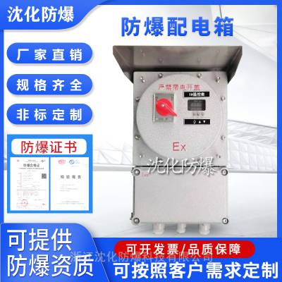 定制防爆控制箱 照明动力开关电源插座箱 电伴热仪表显示温控箱