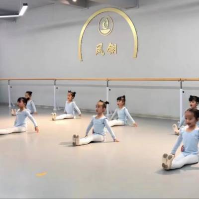 商用舞蹈地胶街舞瑜伽芭蕾舞专用防滑耐磨防水加厚纯色pvc地板