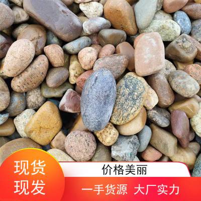 5-8公分鹅卵石公园绿化铺路电厂变压器垫层石子水处理滤料河卵石