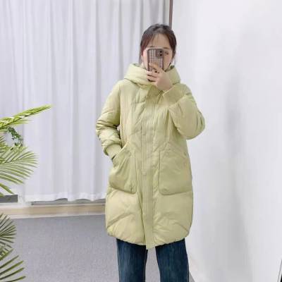 盛依服饰精选溪蔻汉派品牌冬季羽绒服组合一手女装批发货源